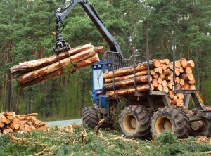hydraulic forestry equipment
