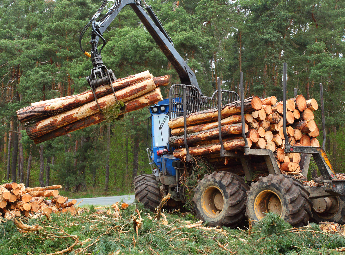 Forwarder2020 Utilizes Advanced Hydraulics to Protect Forests