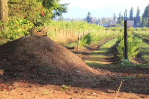 high flow hydraulic couplers for mulching